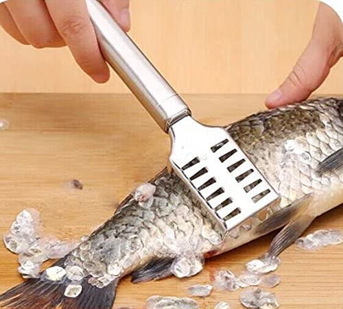 Fish Scale Remover Scraper