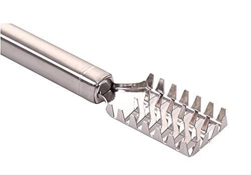 Fish Scale Remover Scraper