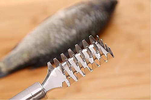 Fish Scale Remover Scraper